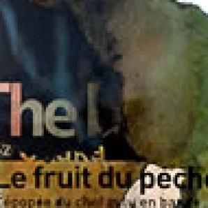 Le fruit du peché
